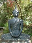 Медитирующий Будда вблизи